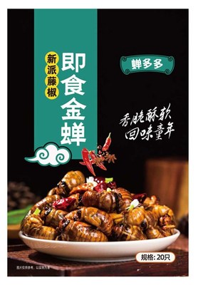 蝉多多即食蝉蛹(图)-蝉蛹是高蛋白食品-蝉蛹